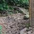 SEVERE SHOCK All The Ducks Have Disappeared LIVING OFF THE GRID Episode 73