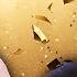 Simon Cowell WINS The Golden Buzzer Got Talent Global