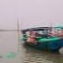 Amazing Chilika Danga Nai Chilika Nai Danga Booktube Viralvideo Shortvideo Water Fishing 1k