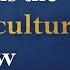 The Vibe Shift Christianity S Subversive Comeback Bethel McGrew