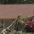 Storm Batters Central Florida Area With 60 Mph Winds