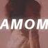 Slenderbodies Chamomile Lyrics