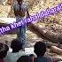 Doliye Me Laika Bhail Uho Sarba Mar Gail Pach Kath Khet Rehal Dahar Aail Dah Gail
