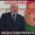 Лукашенко поздравляет с днем рождения Студия Пародист