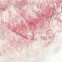 Ten Miles Of Peach Blossom Miao Qing S Dance