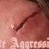 Nicole Dollanganger Cute Aggressions Official Audio