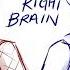 Left Brain Right Brain OC ANIMATIC