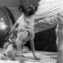 The Space Dog Laika First To Go To Space Dogs Laika Space Spacefacts Science History