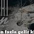 Narkoz Ex Şart Olsun KARAOKE