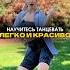 Новая тренировка ZUMBA для начинающих Забирай в профиле