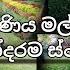 ප ර ද ණ ය මල වත ත ලස සනම ස ථ න ප ර ද ණ ය මල වත ත Kandy Flowers Garden