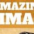 Fun Facts About Animals Facts About Animals For Kids Facts About Animals For 1st 5th Grade