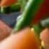 Sunbula Foods Vegitable