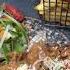 Di Lounge Dan Yine Eşsiz Bir Lezzet Dilounge Tavuk Food
