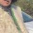 Музей былых времён Верхний Маджалис улица Горная 13 дагестан Dagestan музей тур туры туристы