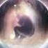 Really Slow Motion Th3 Awak3n1ng Album COSMOGENY
