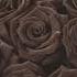 Zakaz Uchun 91 5509905 Flowers Samarqand Gullar
