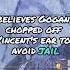 Myth Behind Vincent Van Gogh S Ear Trending Facts Documentary Art Myths