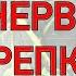Наконец то Нашла От запора крепкий сон Сердце не болит даже Похудеете