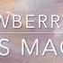 Strawberry Guy Mrs Magic Lyrics