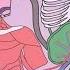 Human Body Systems Functions Overview The 11 Champions Older Video 2016