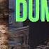 Dumptruck EQ