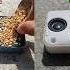 Wheat Vs JBl MZ Portable Bluetooth Speaker Bass Test Bass Test Speaker