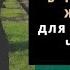 В чём смысл жизни Как найти смысл жизни после утраты близкого
