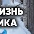 СУШУ ГОЛОВУ В ДУХОВКЕ И СПЛЮ В ПРОТИВОГАЗЕ Вернули свет и воду затворнику