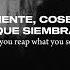 The Vultures Chris Grey PLVTINUM Sub Español Lyrics