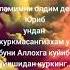 ДИЛ ОГРИГИ