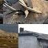 МЫС ЖЕЛАНИЯ УЖАСЫ РОССИЙСКИХ ГОРОДОВ