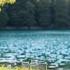 April Indie Playlist No Vocals Acoustic Study Music Long Play For Peaceful Lake Vibes