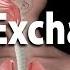 Gas Exchange And Partial Pressures Animation