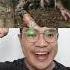 KALO KALIAN BERANI GAK LEWAT KOTAK ULAR Shortsvideo