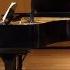 Heidenröslein By Franz Schubert
