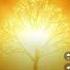 Tree Of Life Etz Hayim Hochmah Wisdom