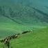 1 Wonderful Kazakh Steppe Adilet Rakhmetolla Kazakhstan Assy2 Sunset With Horses On High Hi