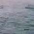 كامل يوسف موحش اليل بغيابك