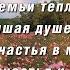 Proshow Producer Поздравление от дочери для мамы с юбилеем 65