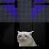 Cat Sadcat Capybara Capybaradance Crisscross Beatball Satisfying Ballbreaker