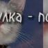 Я бы могла писать портреты Speed Up Speed Up Song