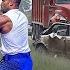 MOST SHOCKING High Speed Police Chases Caught On Dashcam You Wouldn T Believe If Not Filmed 61