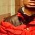 Don Warbucks Feat Chipz150 The Underdog