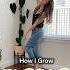 How I Grow GIANT PLANTS Shorts Mosspole Plants Houseplants Indoorplants Indoorgardening Tips