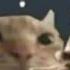 Billie Eilish Ocean Eyes Speed Up