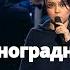 Севара Виноградная косточка Французская реакция