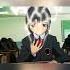 Antent Aysi Affection AMV