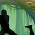 Shadow Fight 2 Survival Video Act 2 Forest Of Death
