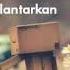 Adista Cintaku Kau Terlantarkan Official Lirik Vidio
